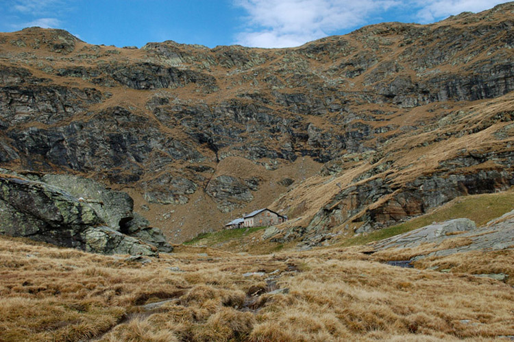 montagna e caprette